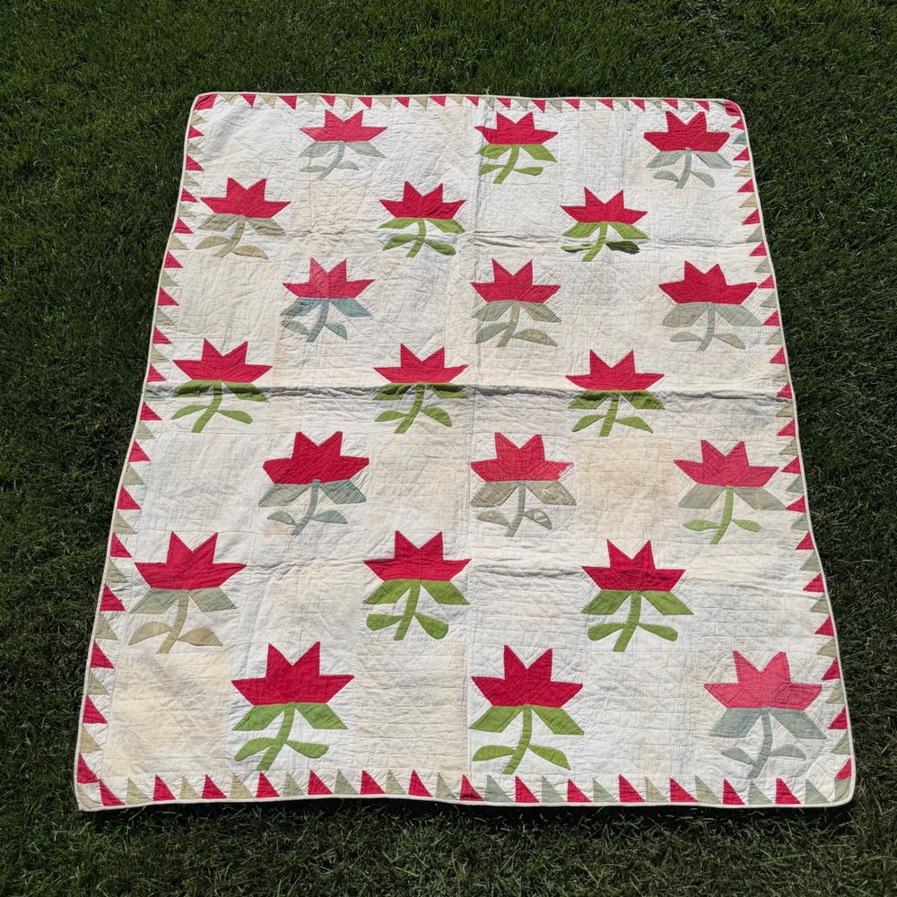 Antique Handmade Floral Applique Quilt Green White Sawtooth Border 53x44 50/60's